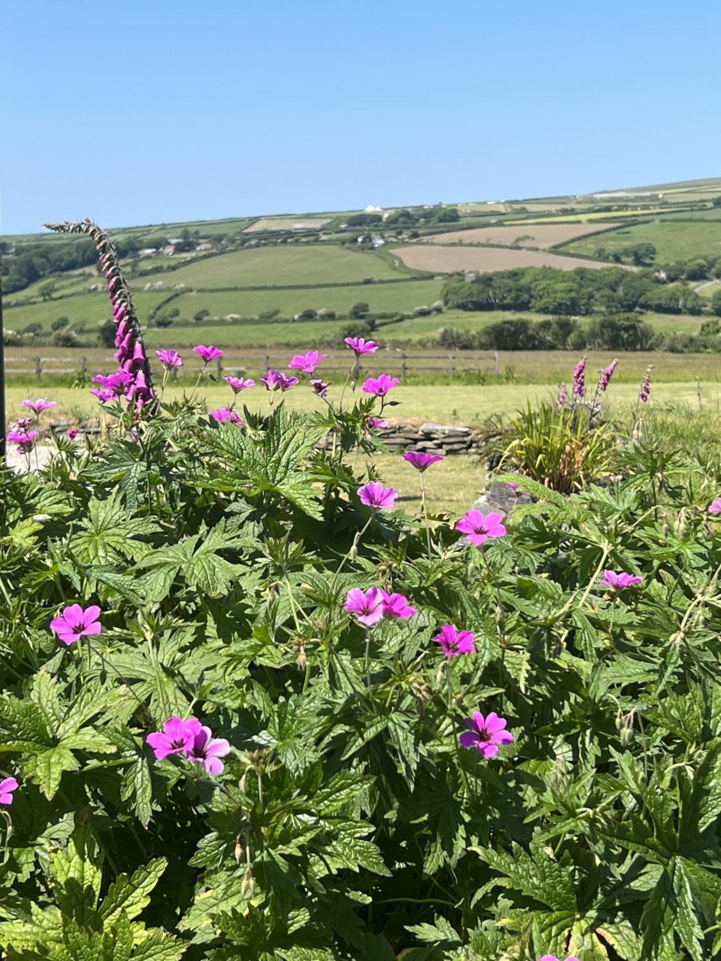 Courtyard Farm Cottages Boscastle Dış mekan fotoğraf