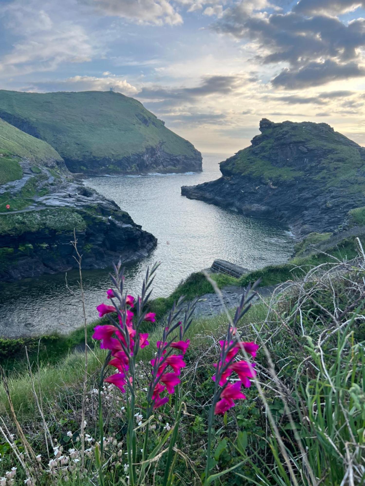 Courtyard Farm Cottages Boscastle Dış mekan fotoğraf