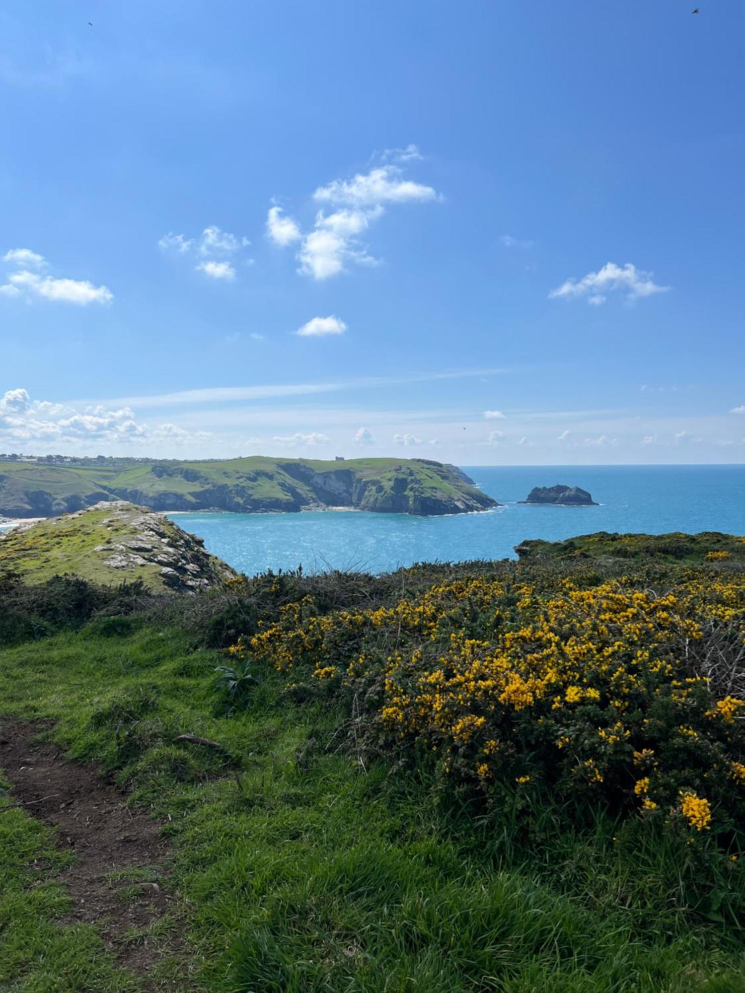 Courtyard Farm Cottages Boscastle Dış mekan fotoğraf