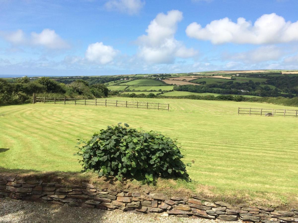 Courtyard Farm Cottages Boscastle Dış mekan fotoğraf
