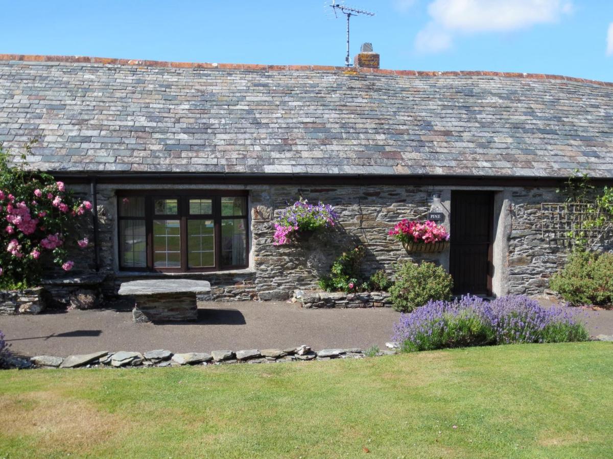 Courtyard Farm Cottages Boscastle Dış mekan fotoğraf